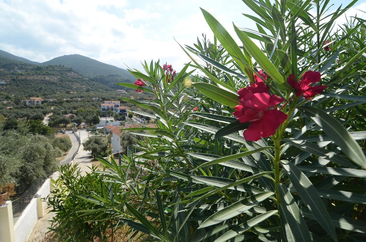 Ferienwohnung Liofoto Skopelos Exterior foto