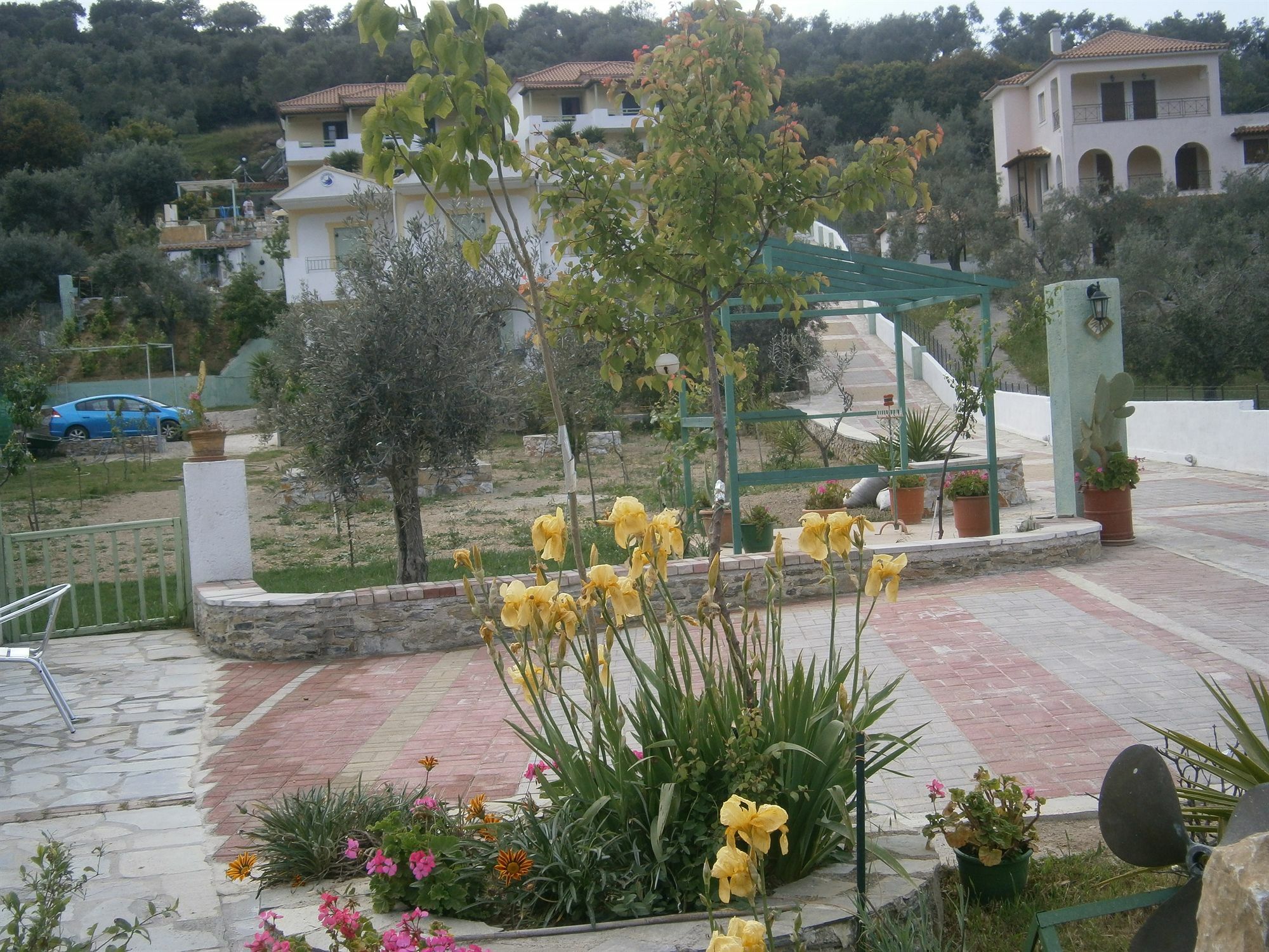 Ferienwohnung Liofoto Skopelos Exterior foto