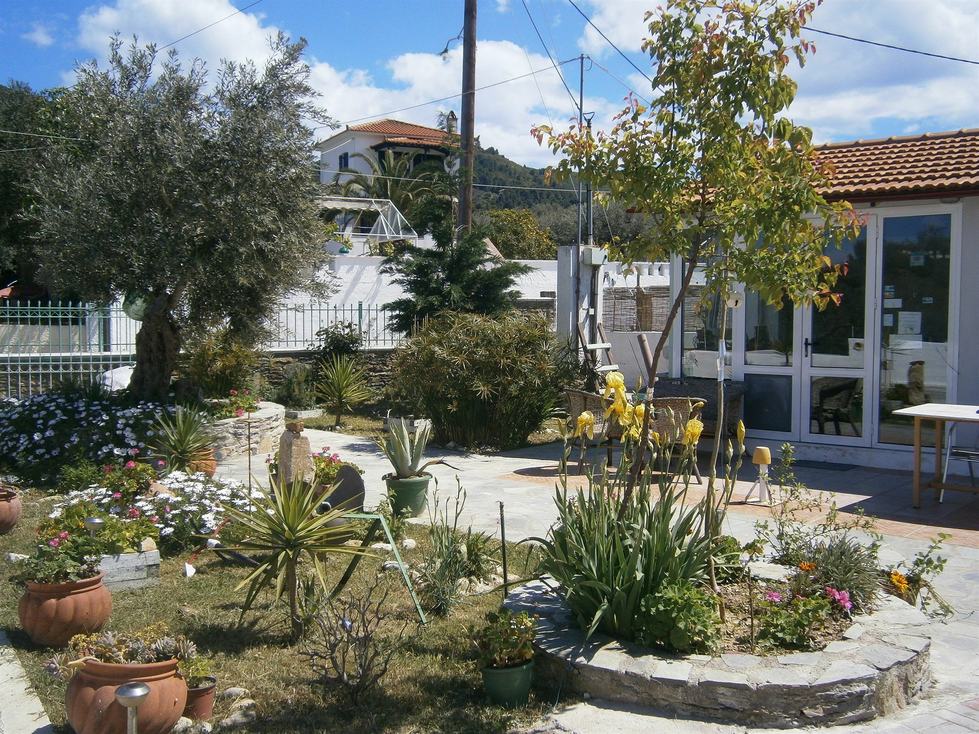 Ferienwohnung Liofoto Skopelos Exterior foto